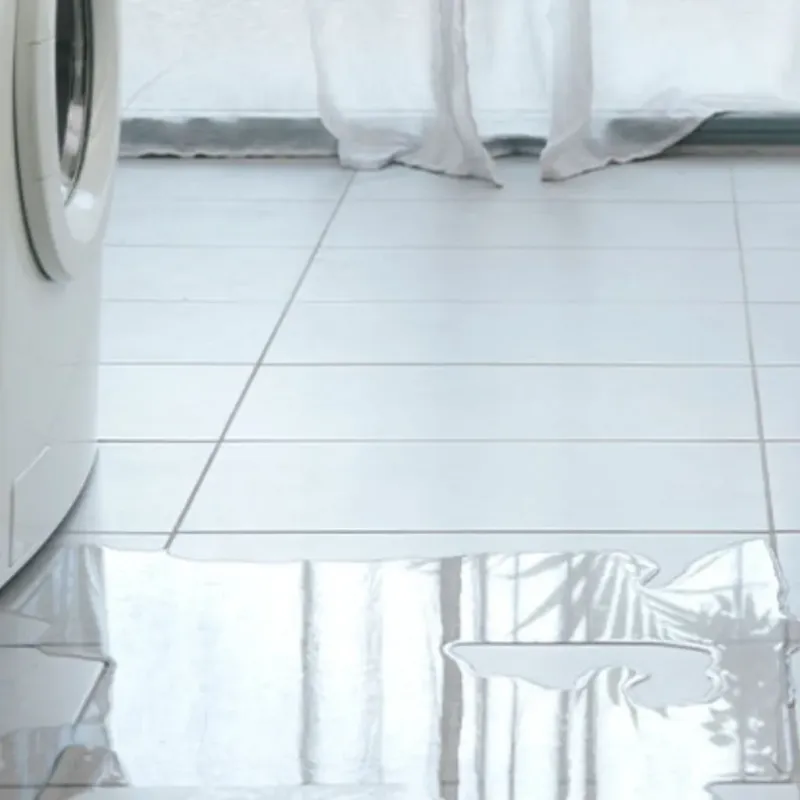 Appliance Leak Cleanup in Saint George, MO