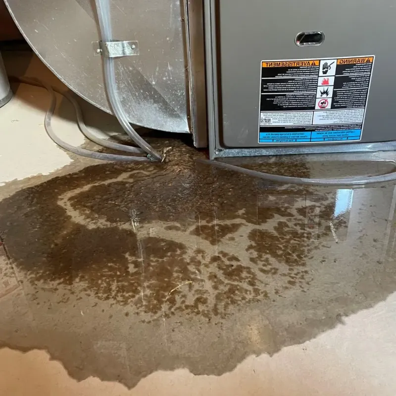 Pipe Burst and Leak Restoration in Saint George, MO