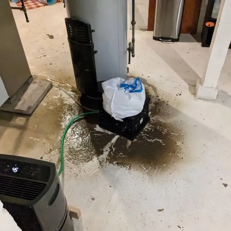 Sewage Backup Cleanup Service in Saint George, MO